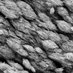 Palmquist Lab (@labpalmquist) Twitter profile photo Palmquist Lab (@labpalmquist) Twitter profile photo