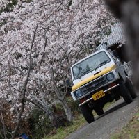 kazuki (@xccamz45t3mbawk) 's Twitter Profile
