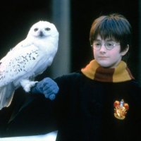 🇵🇸 نور (@_noor0022) 's Twitter Profile