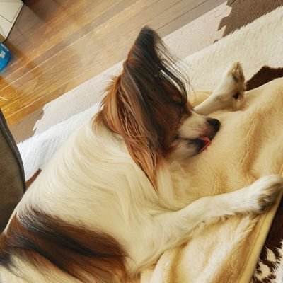 Kt9mbu6EY3LRLT9's profile picture. KUT25卒 / 情報学群 / 宮崎 ▷ 高知 ▶ 東京/ DM気軽に！