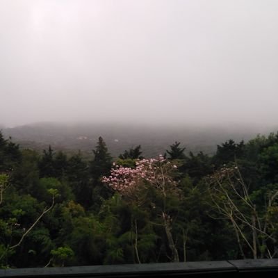 KarenkSiliezar4's profile picture. 