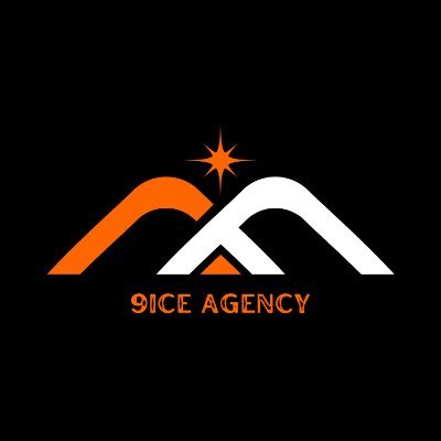 9iceAgency Profile Picture