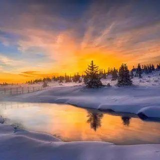 tomer38918664's profile picture. 