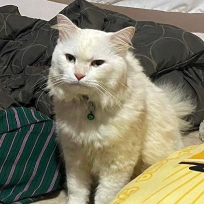 1975thefan's profile picture. 