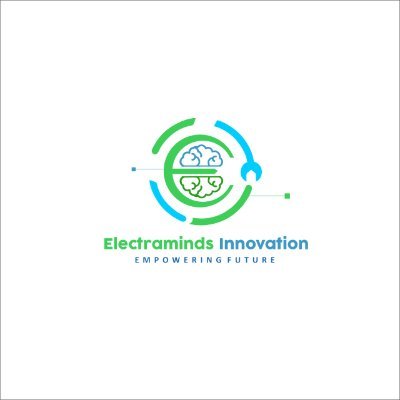 electraminds Profile Picture