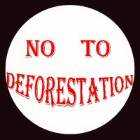 No To Deforestation (@notodeforesting) 's Twitter Profile