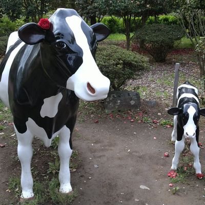 kj_furu's profile picture. 長野県のラーメン店を食べ歩くのを、唯一の趣味としております。