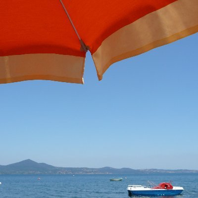 Twitash6's profile picture. The soul becomes dyed with the color of its thoughts.
-Marcus Aurelius

/Here for the memes