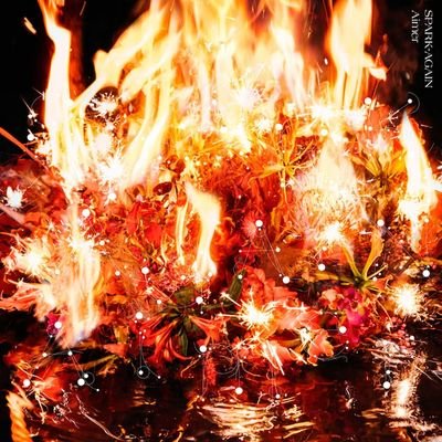 YU YOさんのプロフィール画像