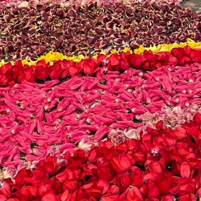 Yc7O7's profile picture. 39〜40歳夫婦の妊活→初マタニティ→ベビ可愛がりアカウントです👾2022年4月からタイミング４回→人工授精4回→お休み期間に化学流産1回→体外受精1回目🧚‍♀️→ 8w稽留流産でした。移植2回目🧚で2024年3月に出産。妊活アカとマタアカ分けていないので、何卒ご了承下さい。無言フォロー失礼致します🙇‍♀️