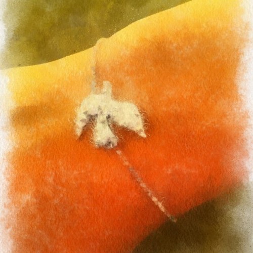 Hidaya_AA's profile picture. Another suppressed Saudi Girl who refuses to be stereotyped by the society ...