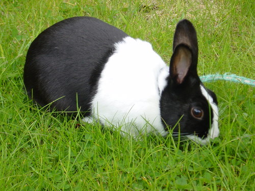 KateWhetter's profile picture. 