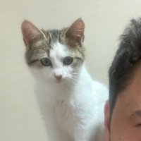 Oğuz Erarslan (@erarslan7) 's Twitter Profile