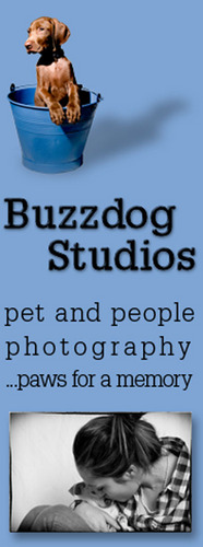 Buzzdogstudi0s's profile picture. ...paws for a memory