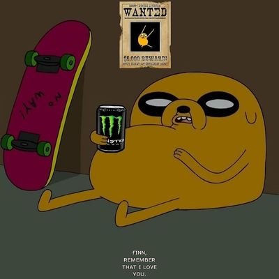 Olli_the_human's profile picture. I'm not human-
Any pronouns