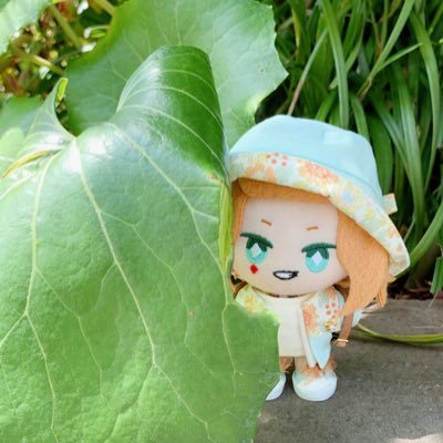 sieben_klange's profile picture. with nui（twst/enst/A3!）／stage ／ 自作ぬいが飛び出す ／ 観劇記録も飛び出す　＊台湾独立＊