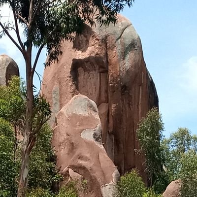 atwotob's profile picture. live simple for christ