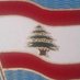 Lebanese Diaspora (@LebaneseDiaspo1) Twitter profile photo