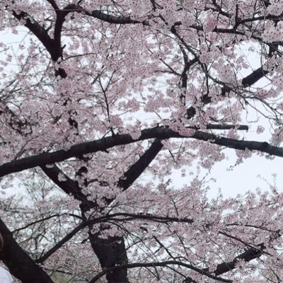 qldthnt22's profile picture. 