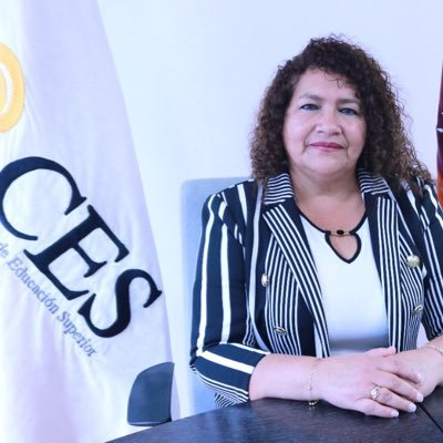 Consejera Académica del CES 2021-2027. President la Comisión Permanente de Institutos y Conservatorios Superiores del SES