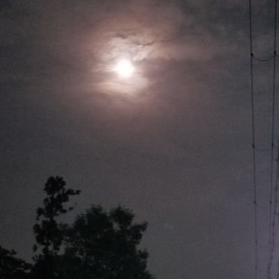 Ayumu_Sendo's profile picture. 残りの人生を面白がって全うしたい。仕事だけの生活を脱却し、未知の経験、人との関わりを増やしたい。