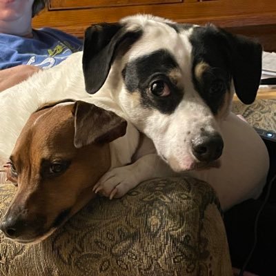 datboiadri's profile picture. 19 - 🏳️‍⚧️they/he - 🎨artist 💍 5-12-2017