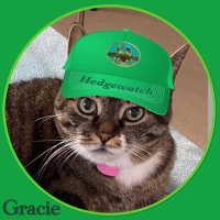 Gracie&Fynn🌈 (@gracieandfynn) 's Twitter Profile