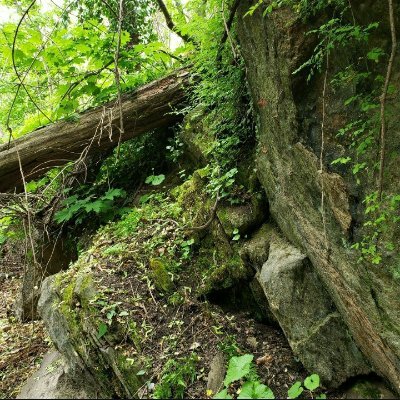 LogoSec_'s profile picture. Cybernetics, Dromology, Logistics, Assurance, Technics; Student of Uexkull, 沢庵 宗彭, Virilio, and the Wizard Prang. #FSD🦆 Trying to see👺 Technoprimitives | 👹🐕