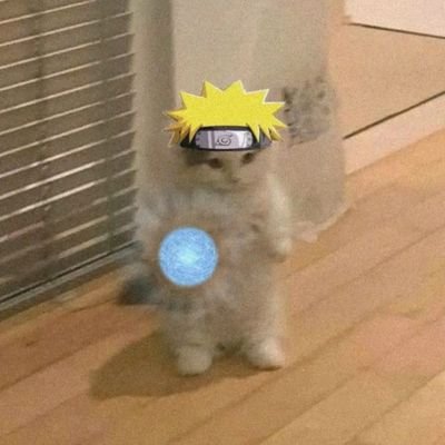 ProGHotpinkac11's profile picture. Jjdjdj