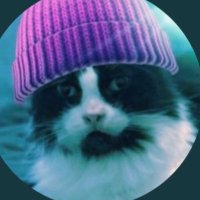ᒪIᘔᗩᗷEᒪᒪᗩ 💉💉💉🍩🇦🇺 🌊😺🐶🐨🇺🇦 (@lizabellabella) 's Twitter Profile Photo