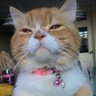 AChontida's profile picture. ช่วงนี้ความสุขก็จะคือตะหนูลิ๊สนะลูก#เอ็นดู