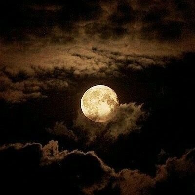 christi57046331's profile picture. Je suis un outsider