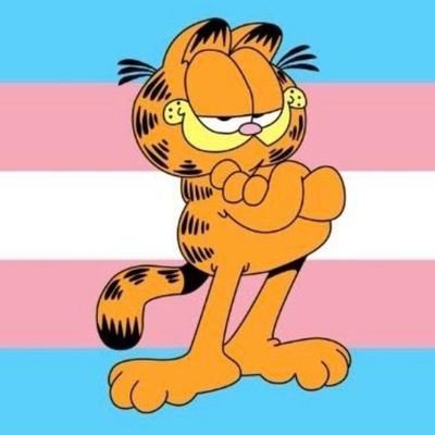 he/they