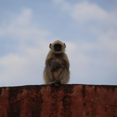 I never understood twitter all these years, now making a final attempt. Trying to create a cycling-friendly world. Calcuttan. Fuck BJP.