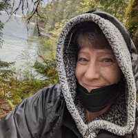 Tracy Pullman (@badtrac) 's Twitter Profile