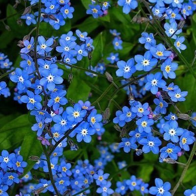 AnaSanc15007696's profile picture. Ana