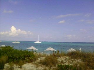 wifeshead's profile picture. 