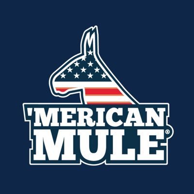 Premium Mule Cocktails at 7% ABV, started by 3 millennials pursuing the ‘Merican Dream #CopperMugOptional #FuelTheMule - FIND ➡️ https://t.co/Kw634FcwOG 21+