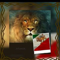 Bahman (@bahman73666068) 's Twitter Profile
