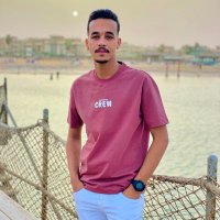 Mohamed 🇵🇸 (@mohamed43205444) 's Twitter Profile Photo
