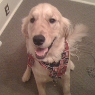 WilliamGlennNC's profile picture. 