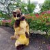 Thick american (@brad_sheppy) Twitter profile photo