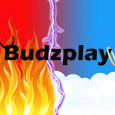 Budzplay Profile Picture