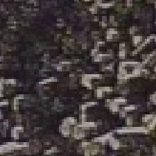 CLASS006's profile picture. 