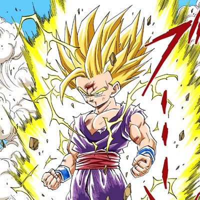 Wn otaku amante de leer manga,el rap y el freestyle y música, videojuegos, etc.