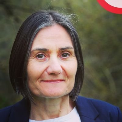 Compte officiel d'#AnnickBellamy. Adjointe au Maire de #Nouvoitou en charge de l'urbanisme et du développement économique. Conseillère fédérale du #PS35. 🌹