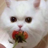 SeulAParis (@seulaparis) 's Twitter Profile