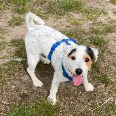 czogasia's profile picture. mama z Wielkopolski, konserwatywna, pracująca. 
Nie lubię pieniactwa, arogancji, wulgaryzmów i Rewolucji Francuskiej.
SURSUM CORDA!