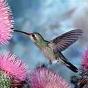 Grace Macias - @vegaslatinaa - Twitter