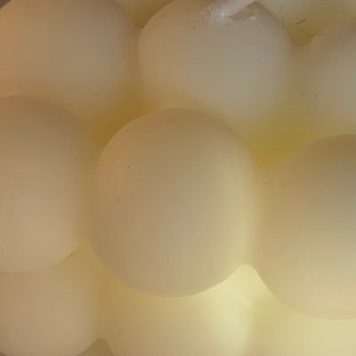 tcht_1226's profile picture. kk